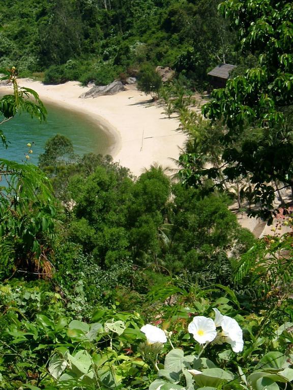 Eden Homestay Хойан Экстерьер фото